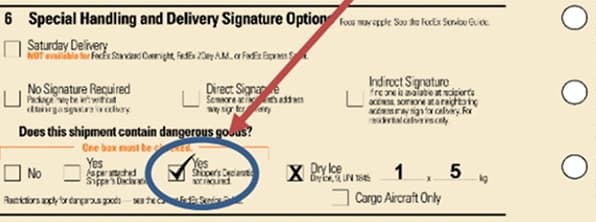 Shipping Papers Example