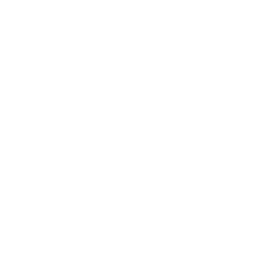 FedEx FedEx