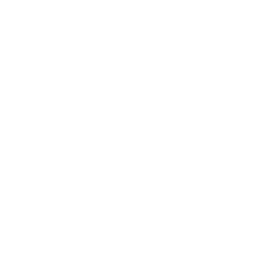 Couriers Please Couriers Please