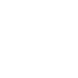 DTDC DTDC