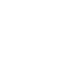 Sky Net Sky Net