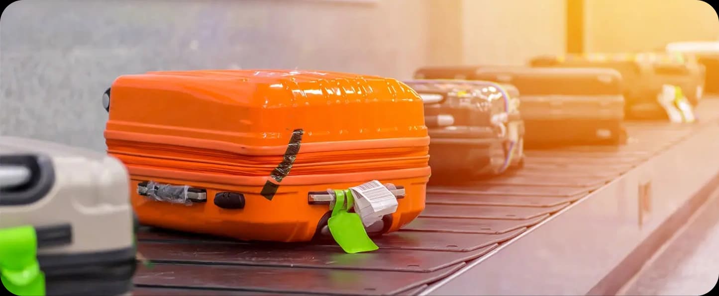 Access Luggage Handling Our freight trucks will transport your shipment easily