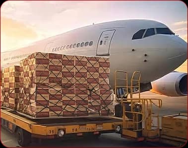Air Freight Sea container delivery was the first shipping method.